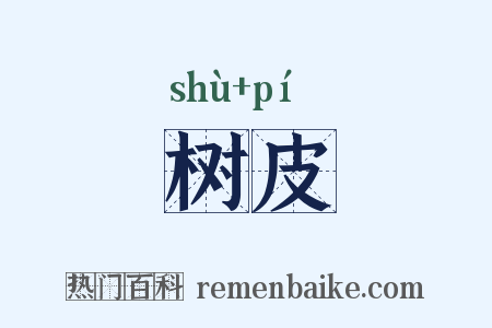 树皮是什么意思的图片